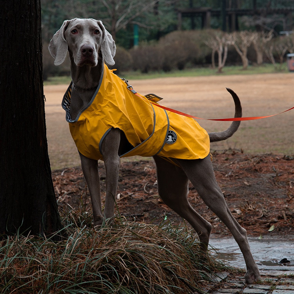 All-Weather Waterproof Dog Rain Jacket