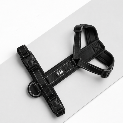 Everyday H-Style No-Pull Dog Harness