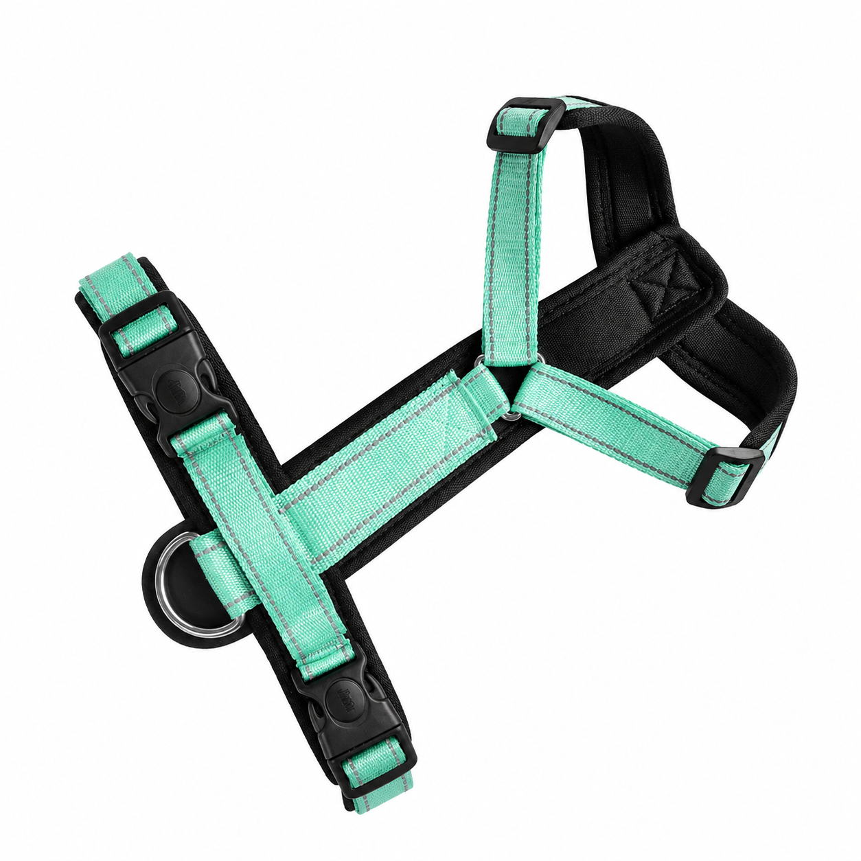 HN001