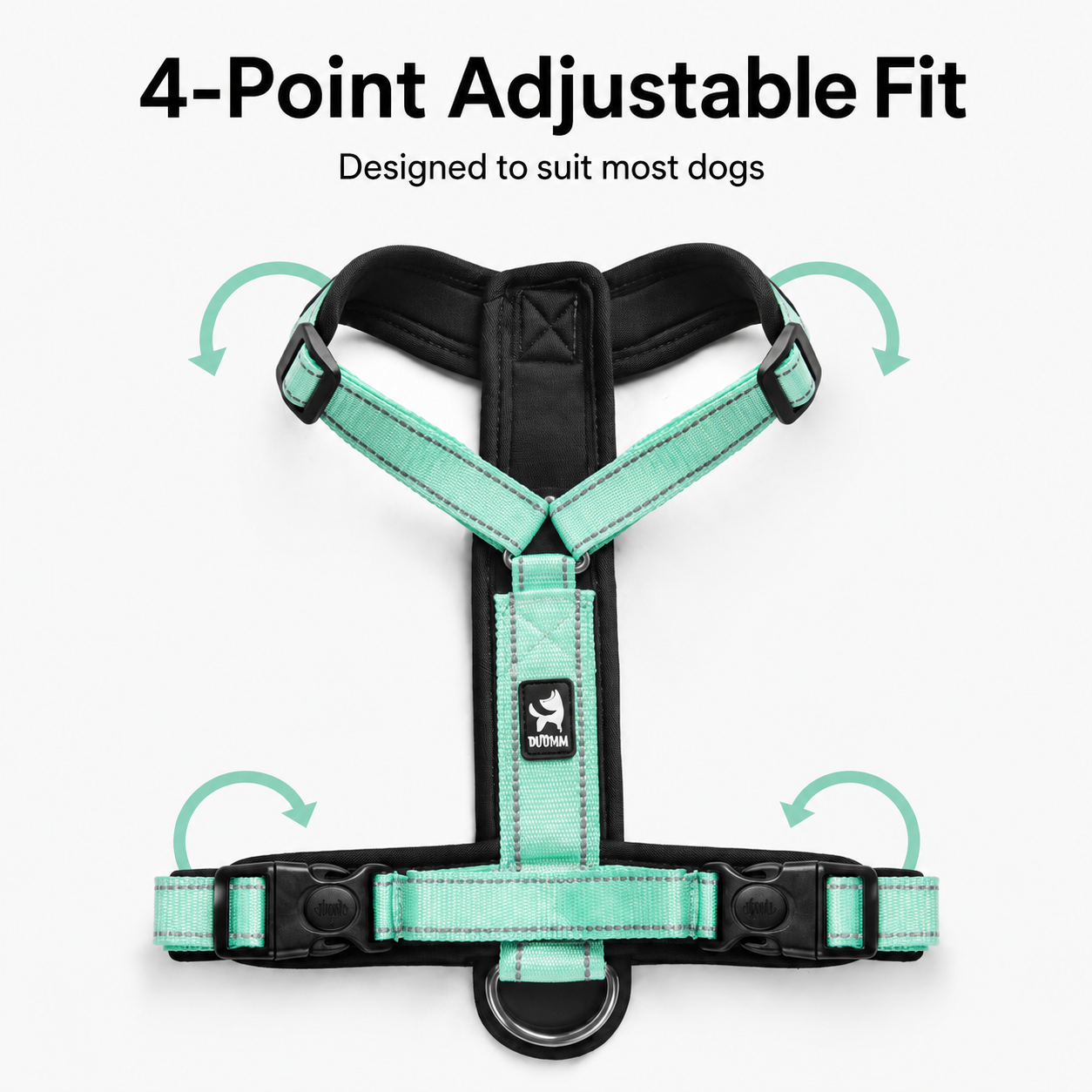 Everyday H-Style No-Pull Dog Harness