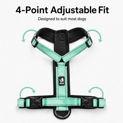 Everyday H-Style No-Pull Dog Harness