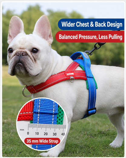 Colorblock T-Shape No-Pull Dog Harness