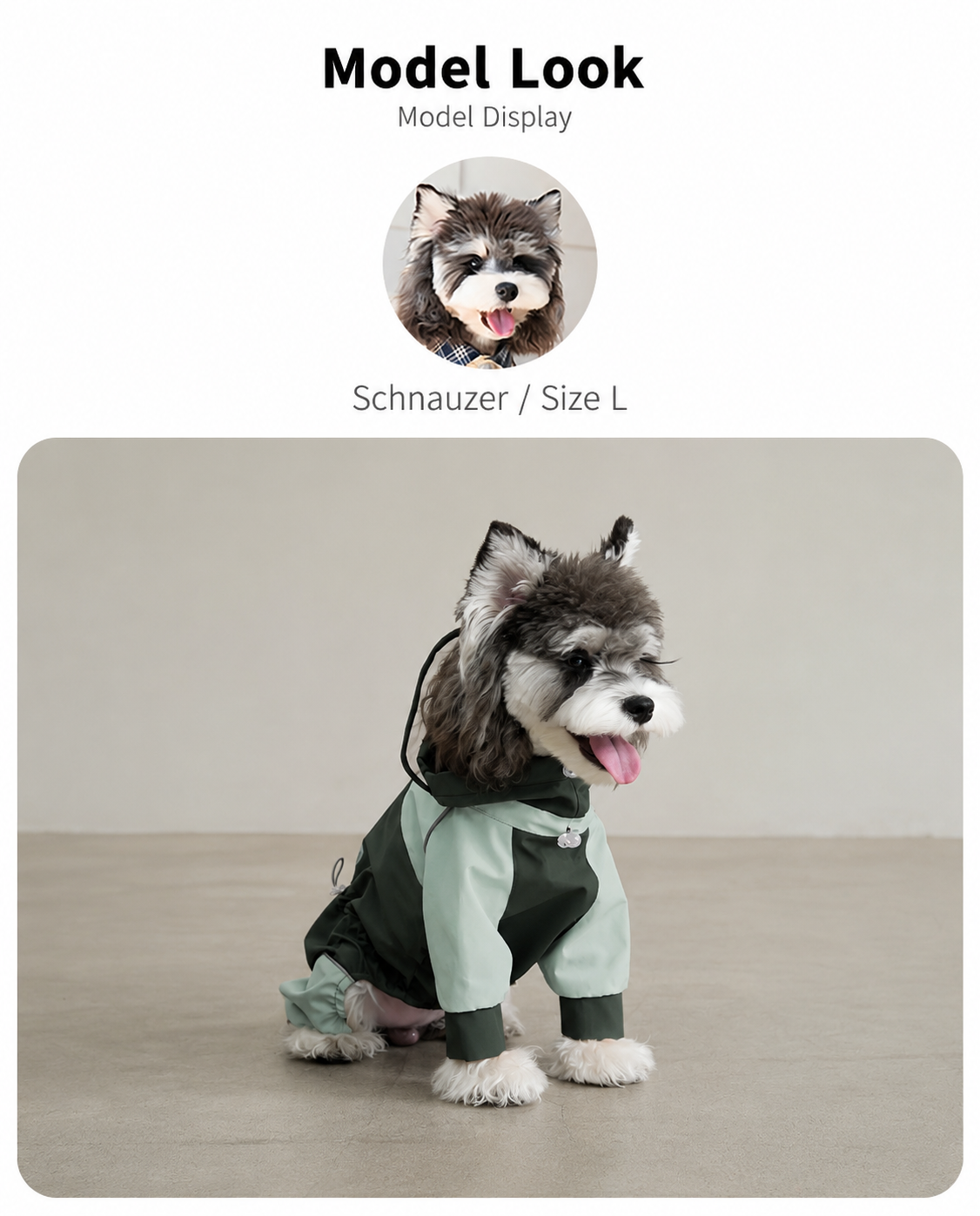 Hard-Shell Hooded Dog Jacket