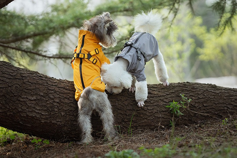 Lightweight Reflective Waterproof Dog Jacket