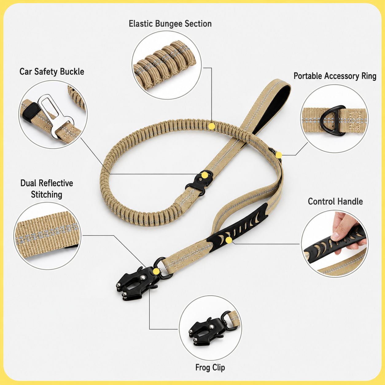 Multi-Function Outdoor Dog Lead