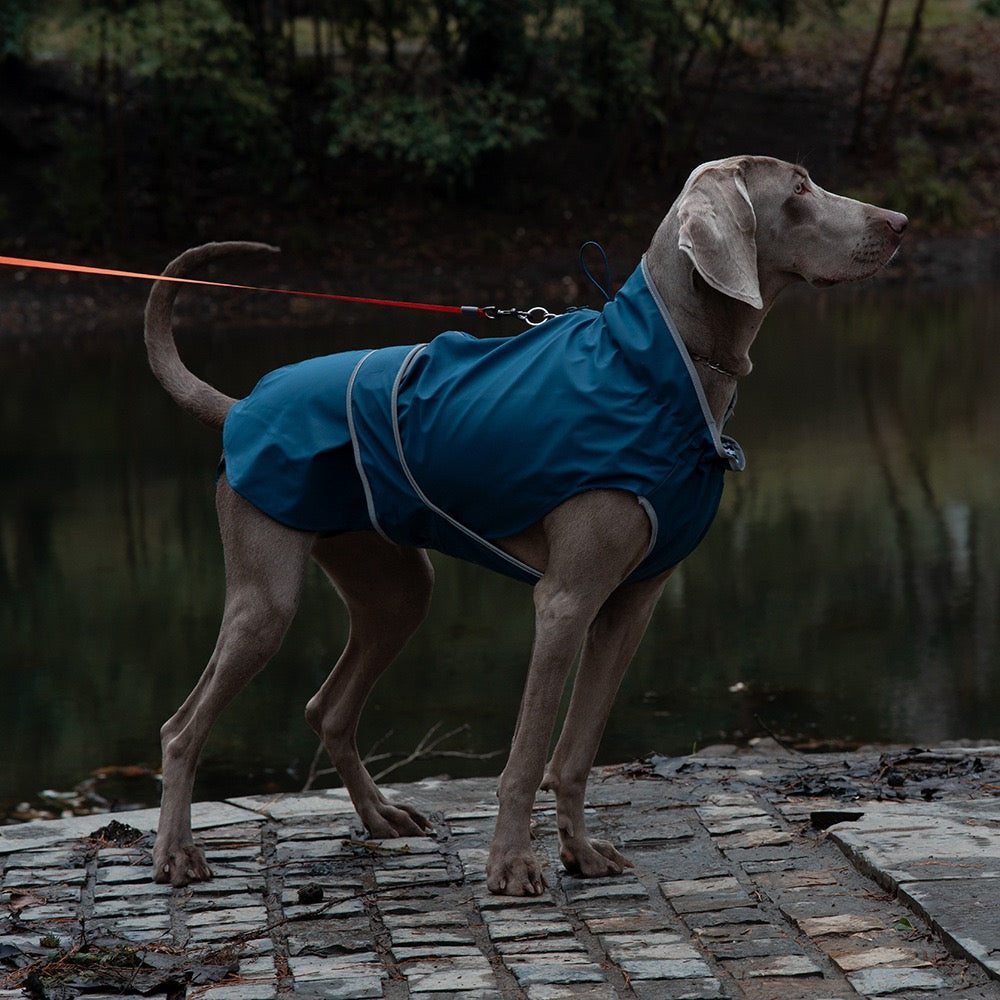 All-Weather Waterproof Dog Rain Jacket